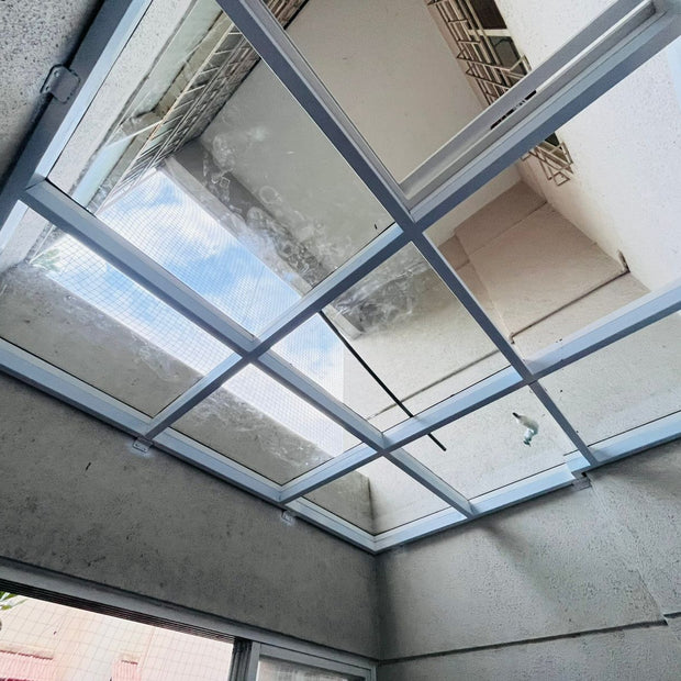 Glass Roofs